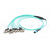 MPO-OM3-FC-12F-XX MPO-OM3轉FC-12F光纖跳線 12芯 MPO多模萬兆OM3 IDC定制MTP雙工40/100G數據鎧裝成品模塊連接跳線